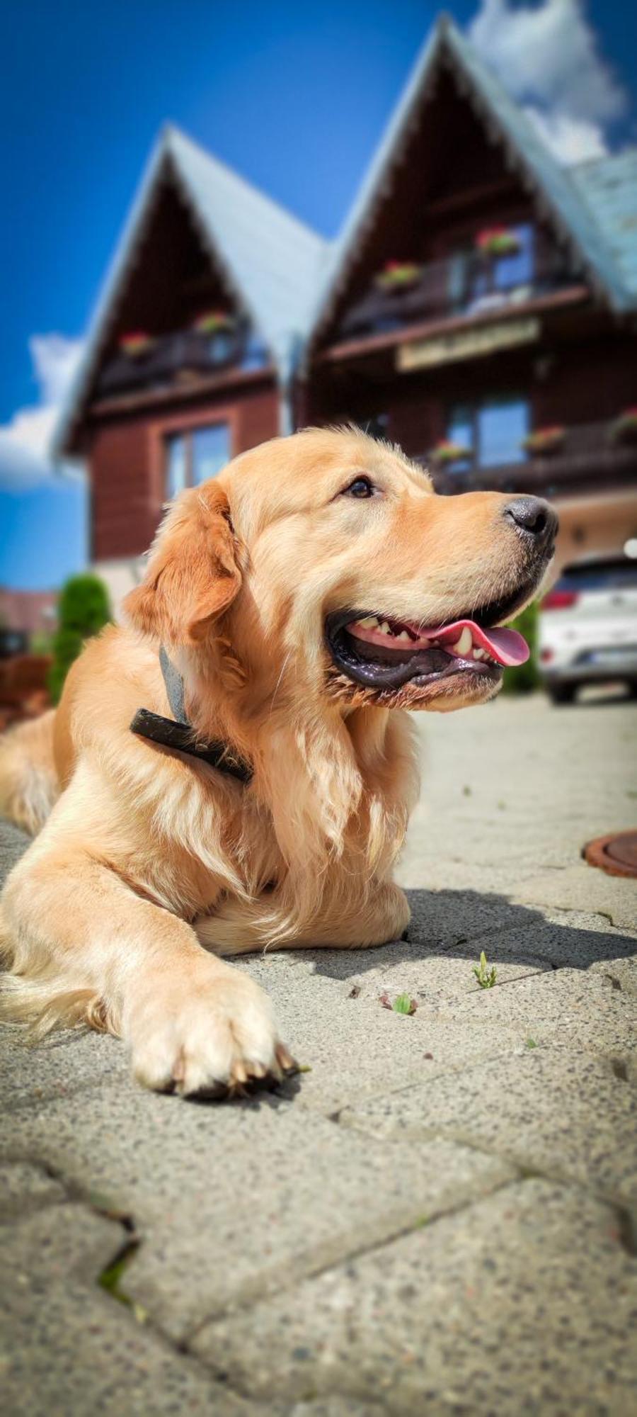 Chata U Bozeny Muszyna Exterior foto